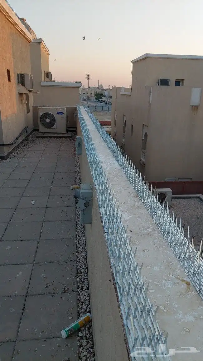 شركة تركيب سلك طارد للحمام في الفجيرة