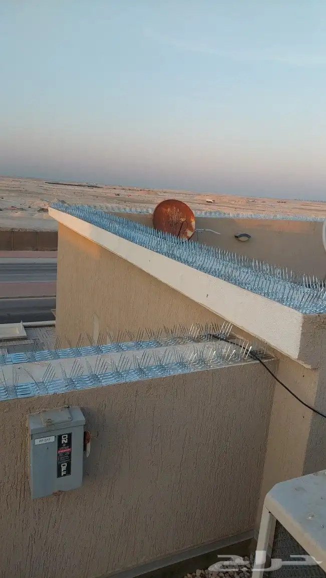 شركة تركيب سلك طارد للحمام في العين